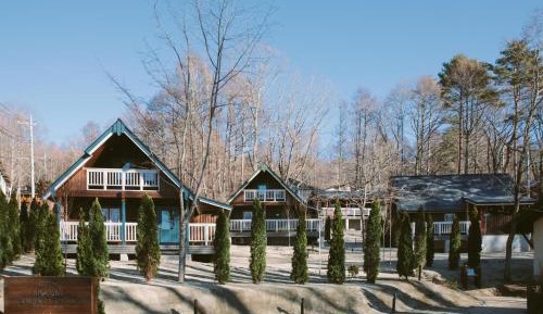 Premium log with open-air bath