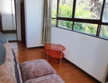 Two-Bedroom Apartment with City View