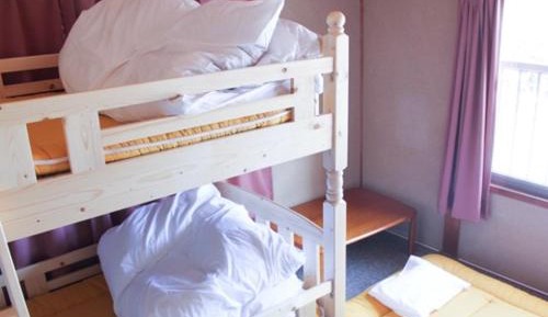 Bunk Bed in Mixed Dormitory Room