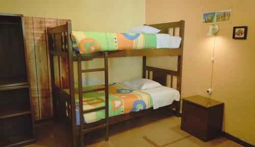 Single Bed in Female Dormitory Room