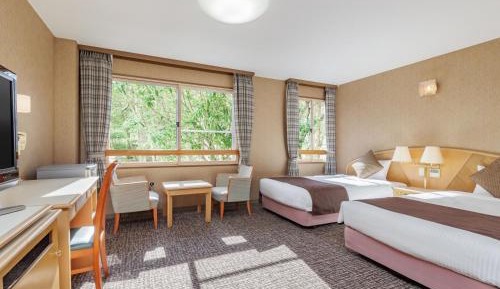 Standard Twin room with private bathroom