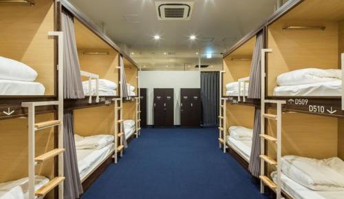 Semi-Private Bunk Bed in 10-Bed Room