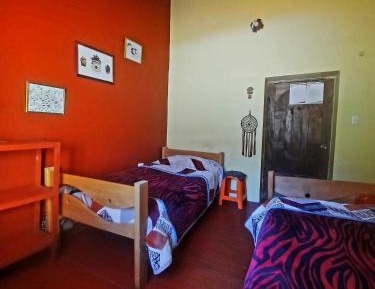 Single Bed in Mixed Dormitory Room