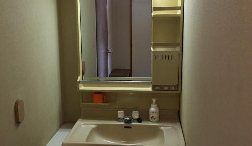 Standard Japanese-Style Room with Toilet