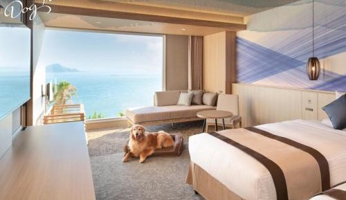 Dog Friendly Room