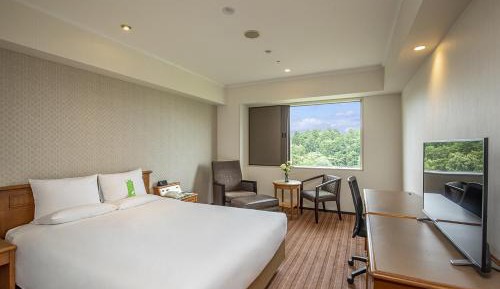 Comfort Single Room