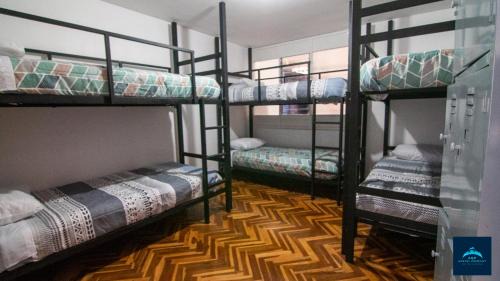 Bed in 6-Bed Mixed Dormitory Room