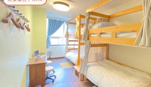 Bunk Bed in Mixed Dormitory Room