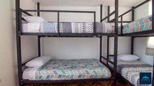 Bed in 6-Bed Mixed Dormitory Room
