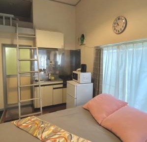 One-bedroom Loft Apartment 