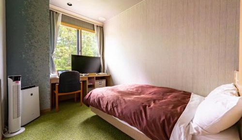 Single Room - Non-Smoking