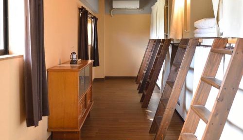 Bunk Bed in Mixed Dormitory Room