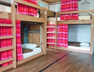 Bed in 6-Bed Mixed Dormitory Room