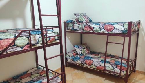 Bed in 4-Bed Male Dormitory Room