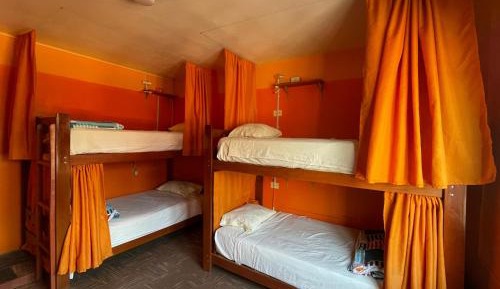 Bed in 6-Bed Dormitory Room