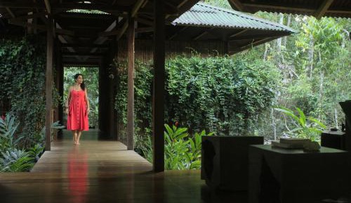 Twin Tropical Garden Room