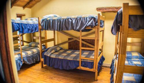 Single Bed in 6-Bed Dormitory Room
