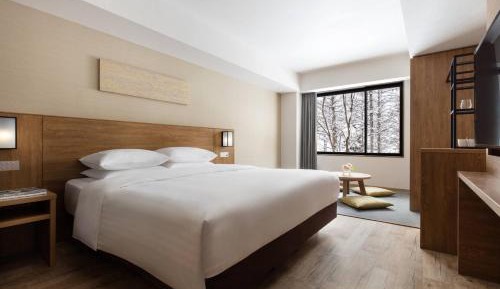 Premium King Room with Hot Spring