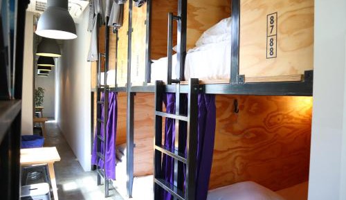 Bunk Bed in Mixed Dormitory Room