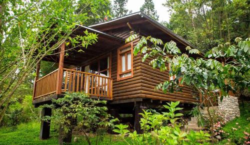Family Bungalow #6