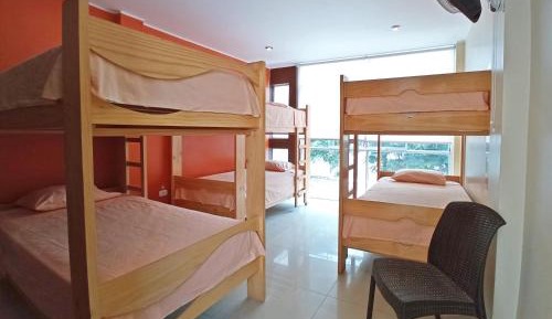 Bed in 6-Bed Dormitory Room