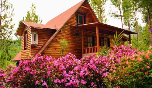 Deluxe Bungalow #5A