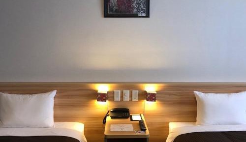 Twin Room Single Use