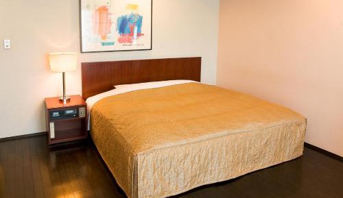 Single Room Selected at Check-In - Smoking