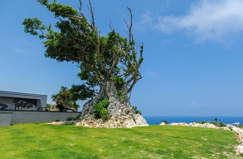 Nakijin Hotel | Hanalee Villa Kouri