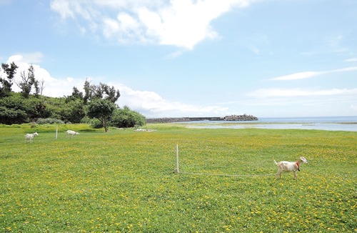 Namihira Hotel | Beach Resort Morimar