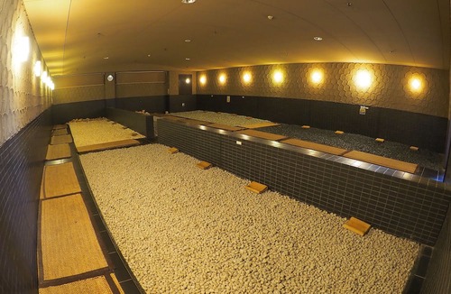 Toyokawa Hotel | Castle Inn Toyokawa