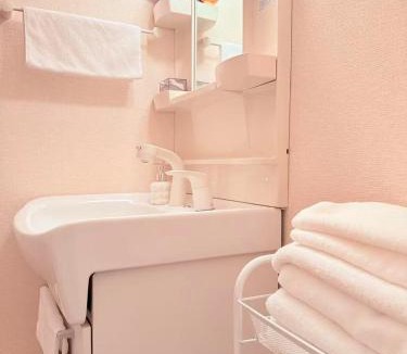 Shinkoiwa Apartment | 新小岩駅徒歩3分デメテル301