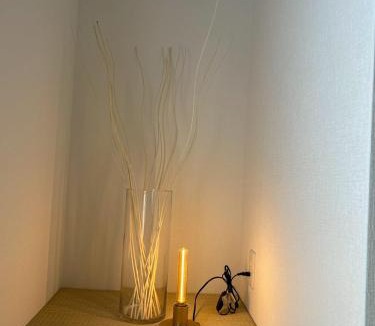 Joto Apartment | Shigino Villa
