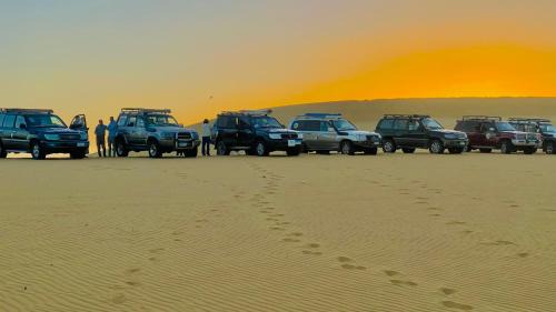 Al Bawiti Other | White Desert Tours In Egypt