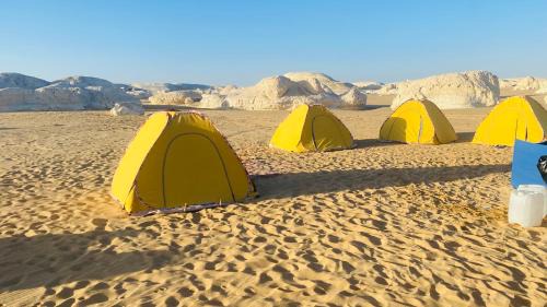 Al Bawiti Other | White Desert Tours In Egypt
