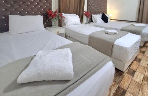 Downtown Cairo Hotel | pal ace talaat harb