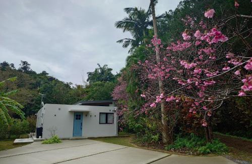 Kyoda Villa | Villa Esse Una 名護許田IC近く緑に囲まれた一棟貸しヴィラ