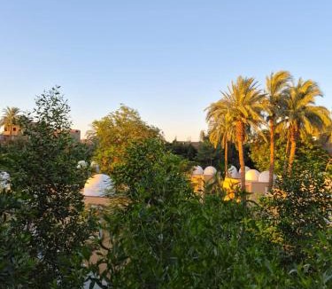 Luxor Hostel | Ali Guest House