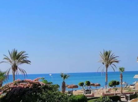 Muharam Bik Apartment | الياسمين
