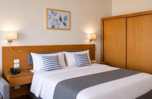 Aswan Hotel | Basma Executive Club