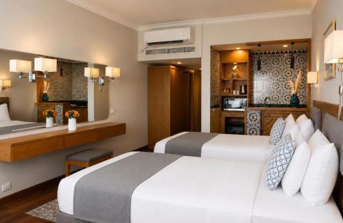 Aswan Hotel | Basma Executive Club