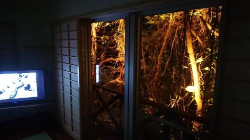 Okinawa Apartment | BigTree JUDOハウス