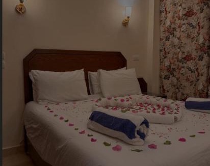 Sheraton Road -Sakkala Villa | منتجع العائلة على شاطئ البحر الأحمر مع مسبح