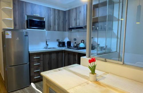 Independencia Apartment | Alojamiento GAFI