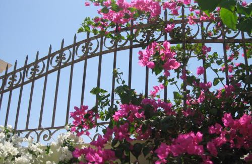 Al Ahyaa Villa | Villa Shahrazad Hurghada