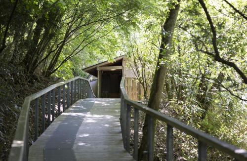 Hakone Hotel | Hakone Retreat villa 1/f