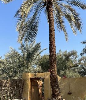 Siwa House | Spellbound in Siwa