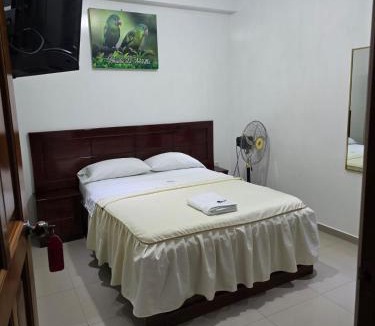 Tingo Maria Hostel | Hospedaje Paraíso