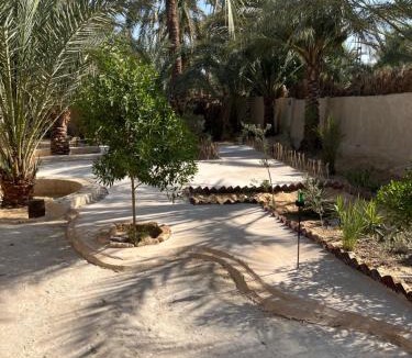 Siwa Apartment | Siwa Spot - Authentic Siwan Room with Private Patio