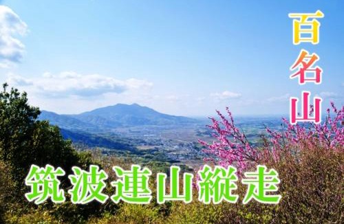 Tsukuba Villa | 家族連れ等に最適な新築つくばガーデンハウス一棟貸切